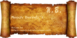 Mesch Bernát névjegykártya